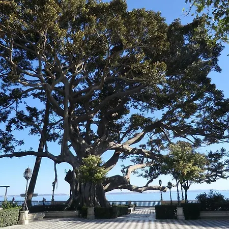 La Nube De San Miguel 카디스