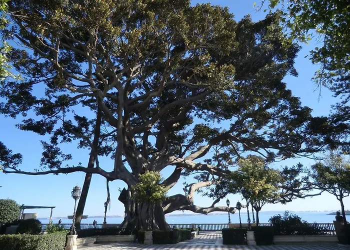 La Nube De San Miguel Кадіс